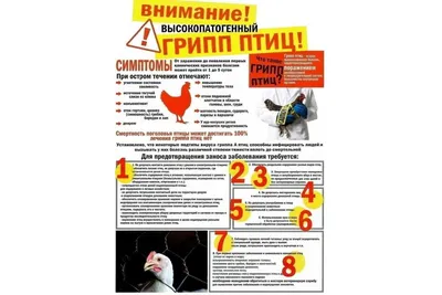 Внимание грипп! - С наступлением холодного времени года резко возрастает  число острых респираторных вирусных инфекций (ОРВИ) и гриппа. Грипп - это  высоко контагиозная вирусная инфекция, распространенная повсеместно.  Характерные клинические проявления ...