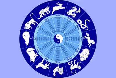 Китайский гороскоп на январь 2023 года - 7Дней.ру