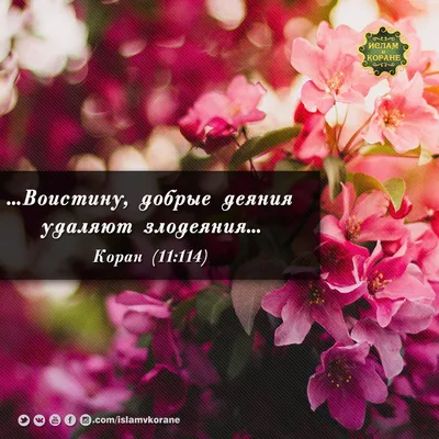 🔴 Сподвижник Ка'б (да будет доволен им Аллах) сказал: "Отдаляйтесь от  сплетен и клевет, поистине расп… | Мусульманские цитаты, Успешные цитаты,  Религиозные цитаты