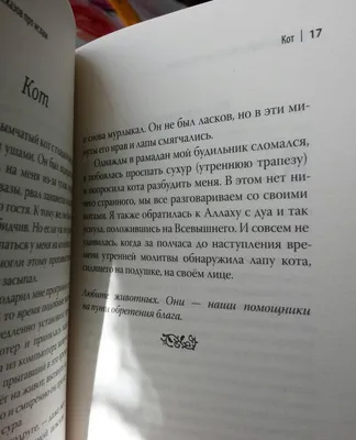 Рассказы для детей"Звездочки в темноте".Книжка про ислам ЧИТАЙ-УММА ДЕТЯМ  17798384 купить в интернет-магазине Wildberries