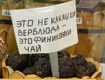 Подушка Какашка