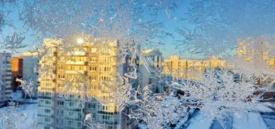 Харьковский сурок-синоптик предсказал раннюю, но холодную весну (фото) | На  биологической станции Каразинского университета в селе Гайдары Харьковской  области спросили сурка Тимку, когда ждать наступления весны