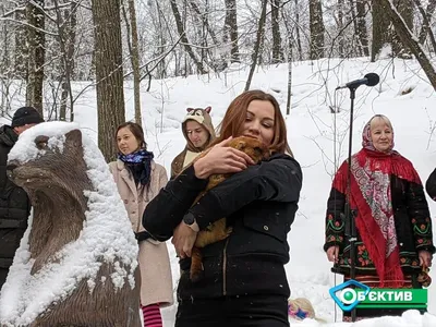 Аномально холодную погоду прогнозируют в Якутске по 8 декабря —  Информационный портал Yk24/Як24