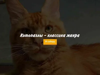 Топ-17 фильмов про кошек для всей семьи