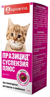 Развитие котенка по неделям: 5 ключевых стадий | Royal Canin UA