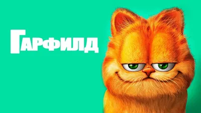 Топ-10 фильмов про кошек и котов: список лучших фильмов - OKKOLOKINO