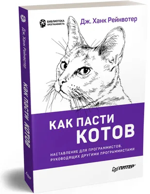 Особенности питания котов британских и шотландских котов | HOME FOOD