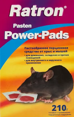 Средство для защиты от крыс и мышей 210 г по цене 598 ₽/шт. купить в Москве  в интернет-магазине Леруа Мерлен