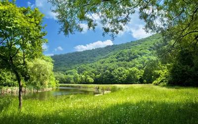 природа горы лето свет солнца лес цветы фото позитив красиво HD обои для  ноутбука | Пейзажи, Живописные пейзажи, Идеи озеленения