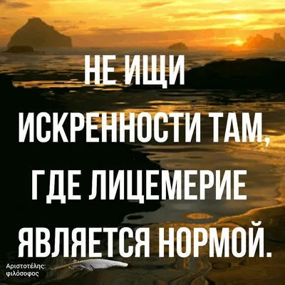 Лев Толстой: Лицемерие людей, не могущих убивать животных, но не  отказывающихся от употребления их в пищу, велико и непрост… | Толстой  цитаты, Цитаты, Мудрые цитаты