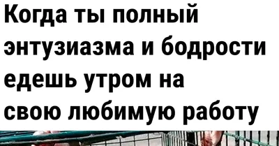 Даже не знаю, с чего начать отдыхать - со стирки или с уборки. Про любимую  работу. | Художница Наташа и Коты | Дзен