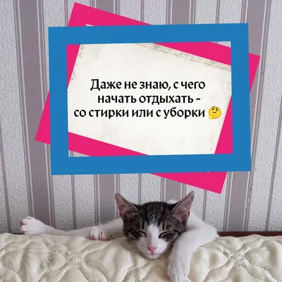 Просыпаться с улыбкой и вприпрыжку бежать на любимую работу👌🏻 ⠀ Не  хворать, не грустить и хорошо зарабатывать! Очень хорошо зарабатывать! ⠀… |  Чакры, Задачи, Томи