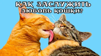 Сувенир Кот и кошка Любовь