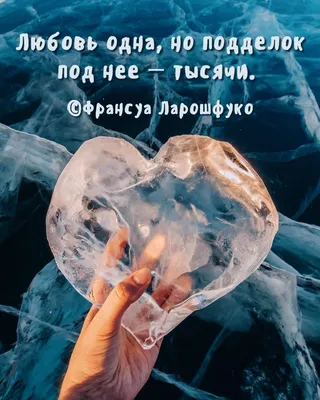 Обои Love, роза, любовь, надпись на рабочий стол