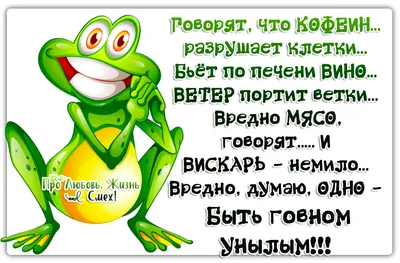 10 главных причин любить жизнь такой, какая она есть | Михаль Крейман | НЕ  психолог | Дзен