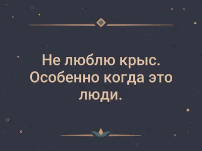 Как распознать крысу на работе и что в таком случае можно сделать. | Обо  всём понемножку | Дзен