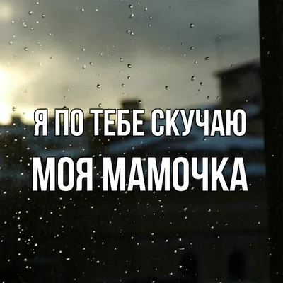 Котоматрица: Мама, я очень скучаю по тебе, мне не нравится мой новый дом Я  хочу назад, к