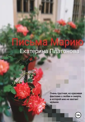 ДЕНЬ ШЕСТОЙ: СЕ МАТЕРЬ ТВОЯ, ПРИМИ ПРЕСВЯТУЮ ДЕВУ МАРИЮ, И ОНА ПРИМЕТ ТЕБЯ  (27-ОЙ ДЕНЬ) — Свет Марии