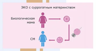 Суррогатное материнство: что это, цены, запреты | 7Дней.ru