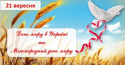 В Україні стає все менше прихильників миру на Донеччині за будь-яку ціну |  Новини Вінниці | ВЛАСНО.info