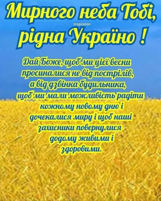 Украина в 2022 году: «Мы не поместимся в старых мехах» | Авторский блог