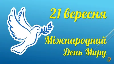 Женская костюм "Мир в Україні"с патриотическим принтом Оверсайз Украинская  одежда с символикой Весна-осень (ID#1594095929), цена: 1400 ₴, купить на  