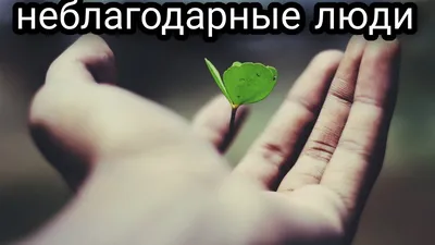 Про неблагодарных людей картинки