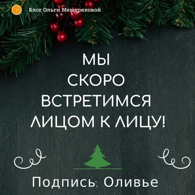 Картинка с прикольной фразой про новый год - скачайте на 