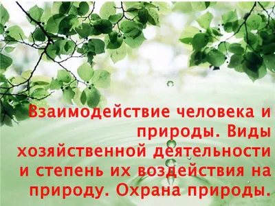 Значок Всероссийское общество охраны природы купить