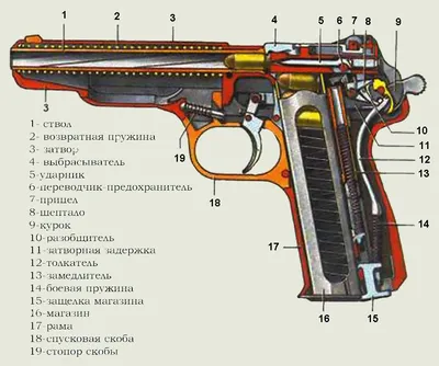 Регистрация оружия по месту проживания или прописки