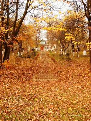 Последняя осень в родной школе... (Поэтессы Юлка) / Стихи.ру