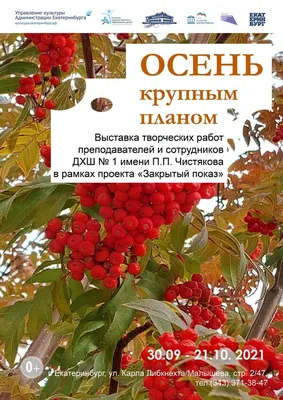 ОСЕНЬ КРУПНЫМ ПЛАНОМ» - События - Детская художественная школа №1 имени П.  П. Чистякова г. Екатеринбург