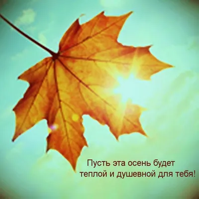 Начало осени. Уютная осенняя открытка. Надпись "Здравствуй, осень". Война -  Ozero - российский фотосток