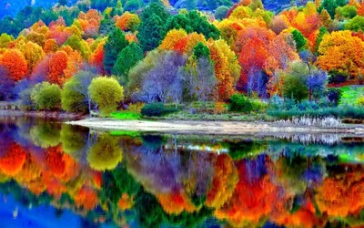 Картинка Красивая картинка про осень » Осень картинки скачать бесплатно  (353 фото) - Картинки 24 » Картинки 24 - скачать картинки бесплатно