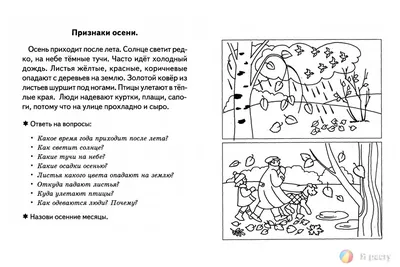 РАЗВИТИЕ РЕБЕНКА: Время года Осень