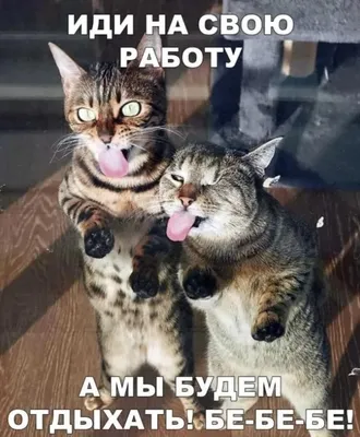 ЛЕТО: Ожидание: море, солнце, прогулки до утра, яркие эмоции отдых.  Реальность: работа, дождь, ра / жиза :: дождь :: работа :: лето :: Буквы на  белом фоне / смешные картинки и другие