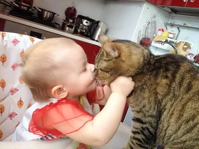 Хвостатая любовь: 16 смешных фото про отношения малышей и питомцев - Летидор