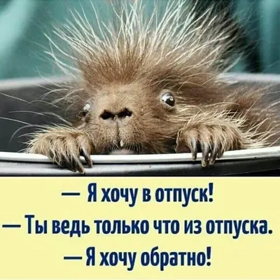 Ура!!! Отпуск:))) - YouTube