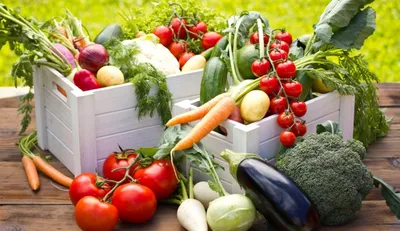 Сезонное питание: польза фруктов овощей летом | Информационное агентство  "Грозный-Информ"