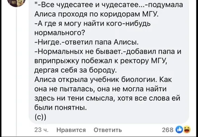 Как папа Алисы Тепляковой воюет со всем миром: новые сведения, которые я  узнала. И таинственный скрин, который меня разозлил | Записки репетитора |  Дзен