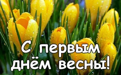 С весной 2021 - открытки, картинки, поздравления в стихах и прозе с первым  днем весны - Апостроф