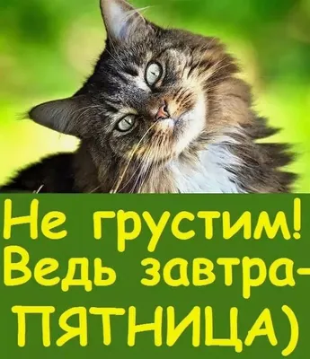 Легкое эссэ про пятницу и алкоголь. | Просто об алкоголе. Просто я. | Дзен