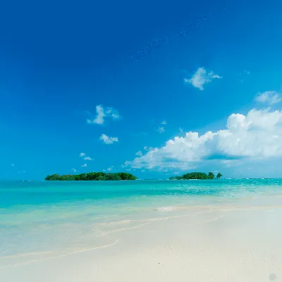 Море, пляж, пальмы, тропики, ясный …» — создано в Шедевруме