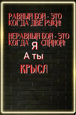 Правда жизнь Сука! | Neon signs, Tbl