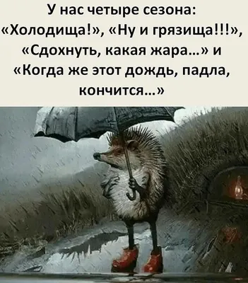 Про Погоду...🌨☔🌞 | Смешные высказывания, Юмор, Юмористические цитаты