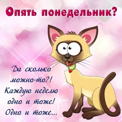 С добрым утром и хорошего дня в понедельник — открытки и картинки на вайбер  - Телеграф