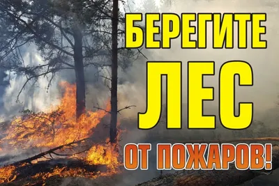 Берегите лес от пожара!