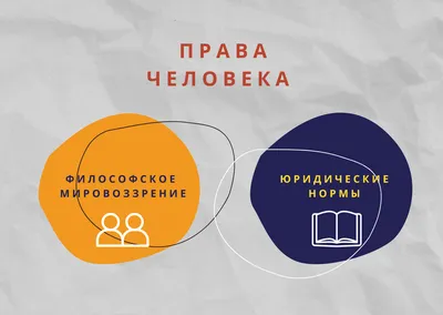 Права человека – это в том числе про принятие тех, кто тебе не нравится».  Почему они нужны всем и как в них разобраться? — OEEC