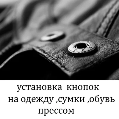 волчица и волк :: волчица / смешные картинки и другие приколы: комиксы, гиф  анимация, видео, лучший интеллектуальный юмор.