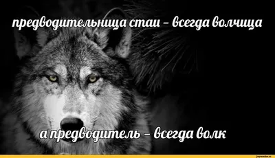 Пин от пользователя Юлия Пахомова на доске Мотивация | Правдивые цитаты,  Мудрые цитаты, Вдохновляющие высказывания